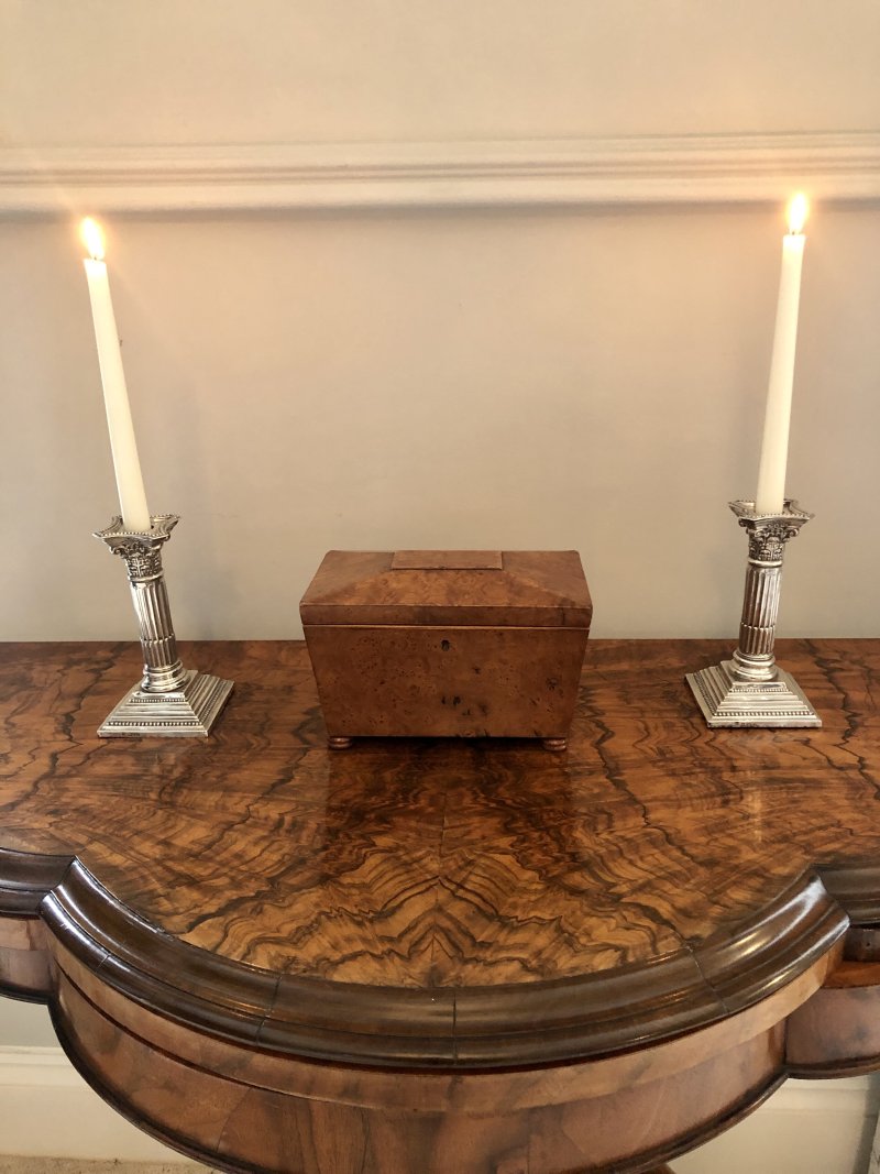 Antique Regency Sarcophagus Shaped  Burr Elm Tea Caddy - Image 11